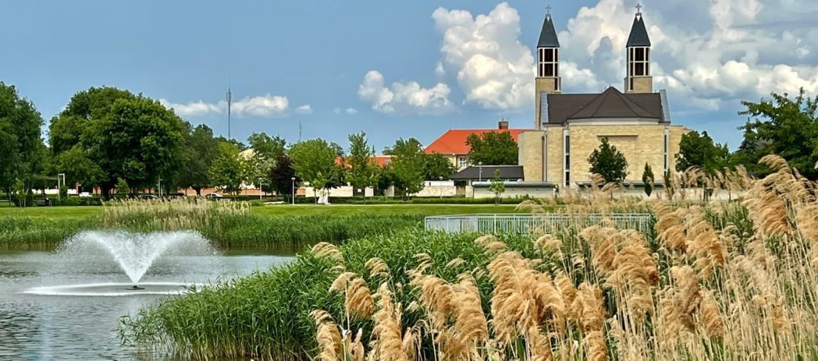 HBSE Aikido Nyári Tábor 2023