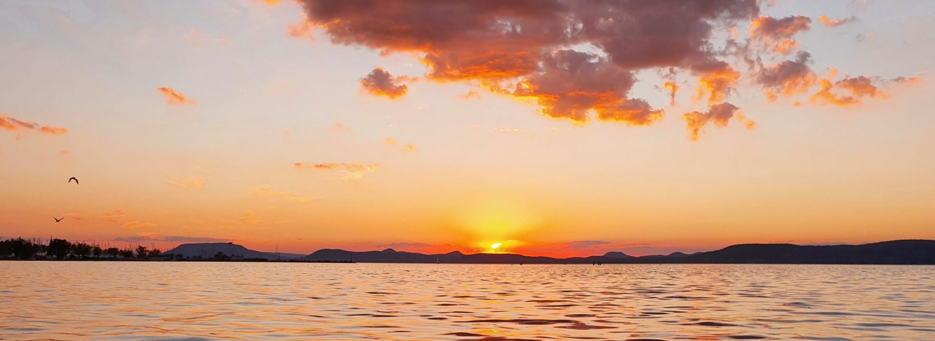 Aikido Edzés Részvétel