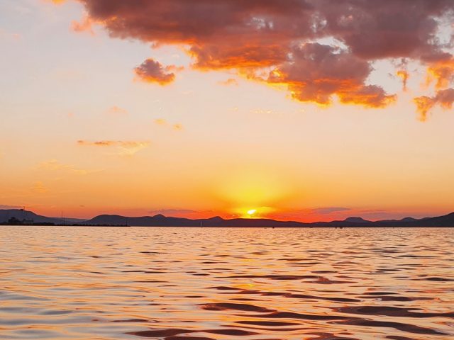 Aikido Edzés Részvétel