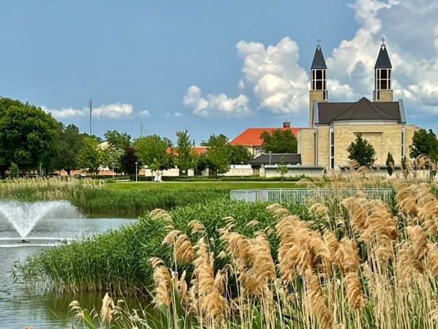 HBSE Aikido Nyári Tábor 2023